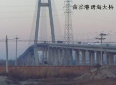 萝卜视频成人APP下载案例-黄骅港跨海大桥
